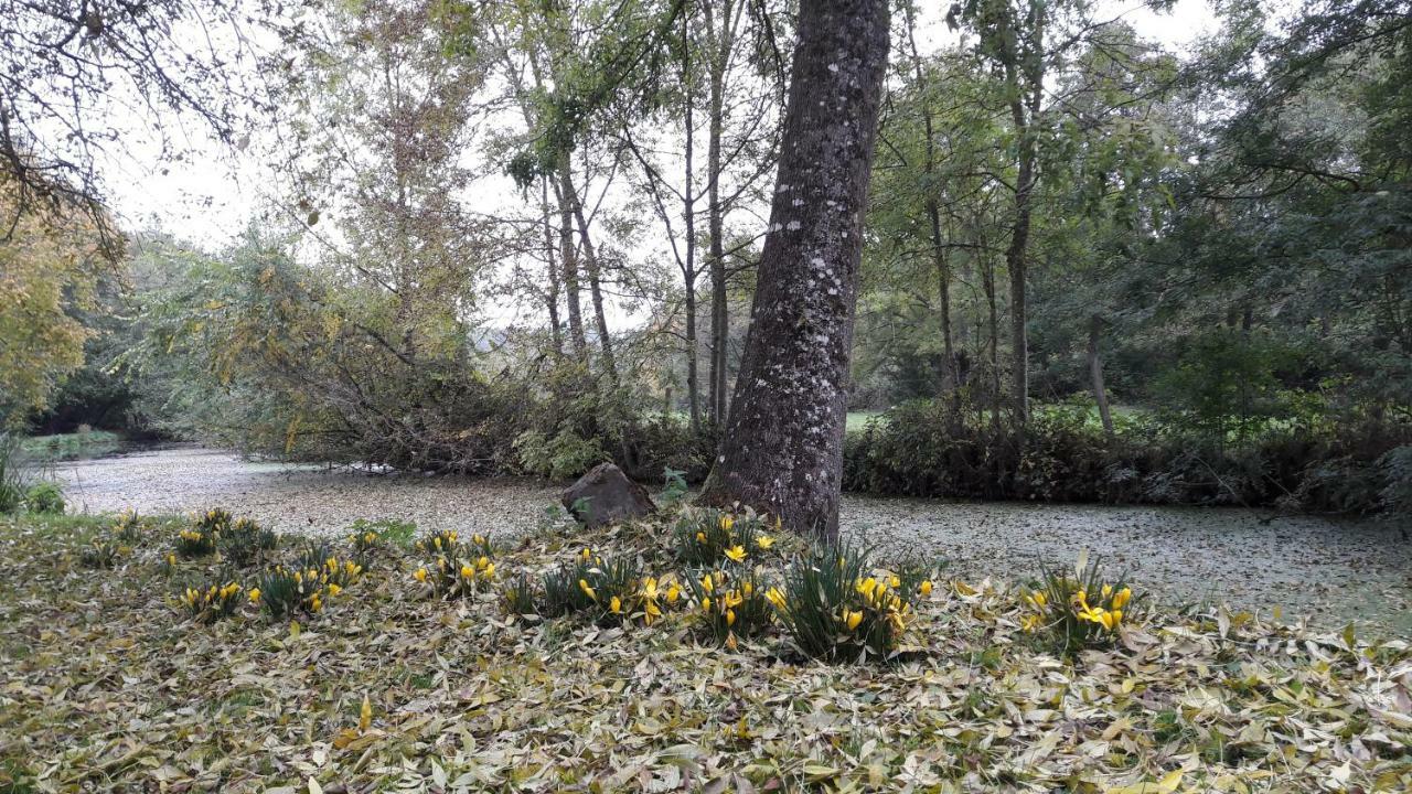 Moulin De Rimer Auvers-le-Hamon Exteriér fotografie